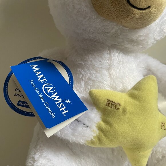 Hallmark “Make-A-Wish” Recordable Plush Bear - Picture 2 of 13